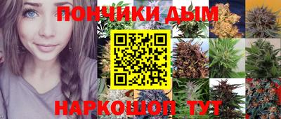 a pvp Рыбинск